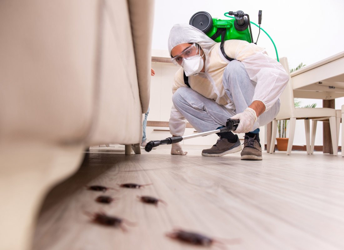 Precautions to Take After a Pest Control Routine